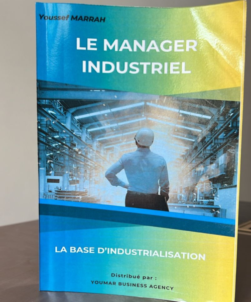 Livre : le manager industriel